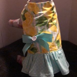 Cute Medium lemon and Baby Green doggie dress